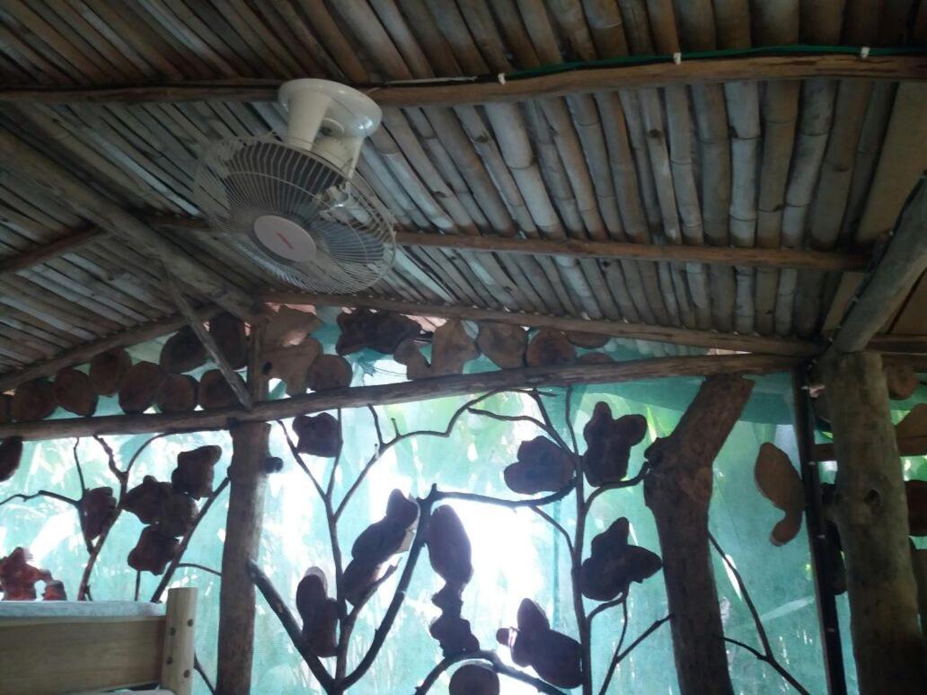 El Chontal Hotel Rincon Bagian luar foto
